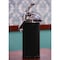 Service Ideas Airpot with Lever Lid, 2.5 Liter, Stainless vacuum insulated. Black ENALS22SCHBL - alternate 2